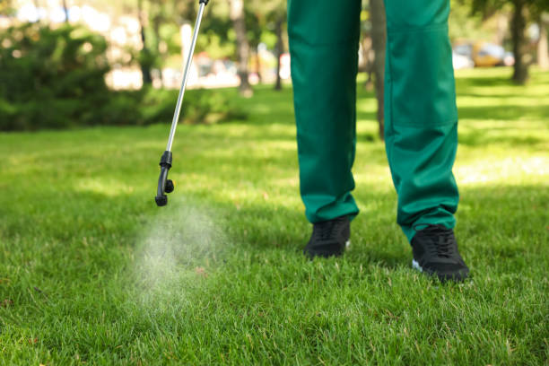 Best Mosquito Control Services  in Perryman, MD