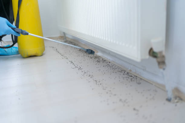 Best Pest Removal Services  in Perryman, MD