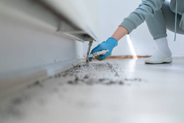 Flea Control Services in Perryman, MD